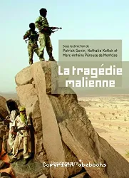 La tragédie malienne