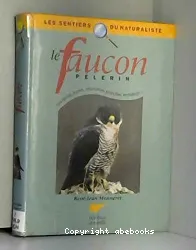 Le Faucon pèlerin