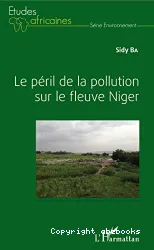 Le péril de la pollution sur le fleuve Niger