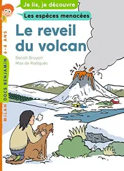 Le réveil du volcan