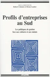 Les Profils d'entreprises au Sud