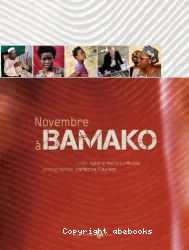 Novembre à Bamako texte Valérie Marin La Meslée photographies Christine Fleurent