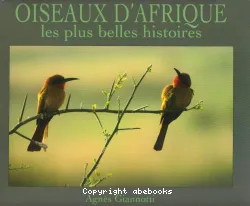 Oiseaux d'Afrique