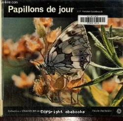 Papillons de jour