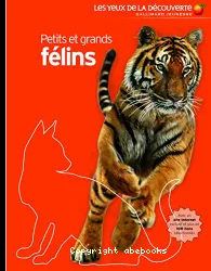 Petits et grands félins