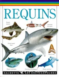 Requins