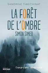 Simon Simeo