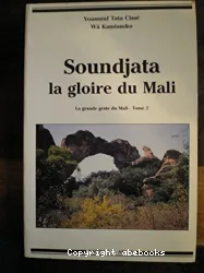 Soundjata la gloire du Mali, Vol