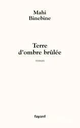 Terre d'ombre brûlée