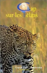 Cap sur les félins