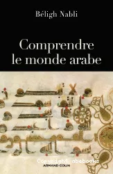 Comprendre le monde arabe