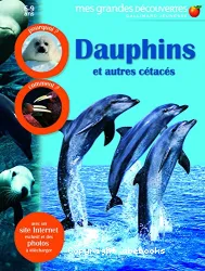 Dauphins