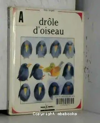 Drole d'oiseau