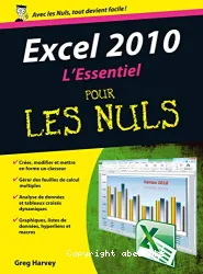 Excel 2010