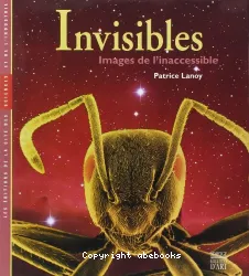 Invisibles