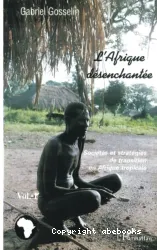 L'Afrique désenchantée