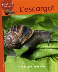 L'escargot