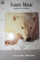 L'Ours blanc, seigneur de la banquise