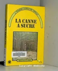 La Canne à sucre